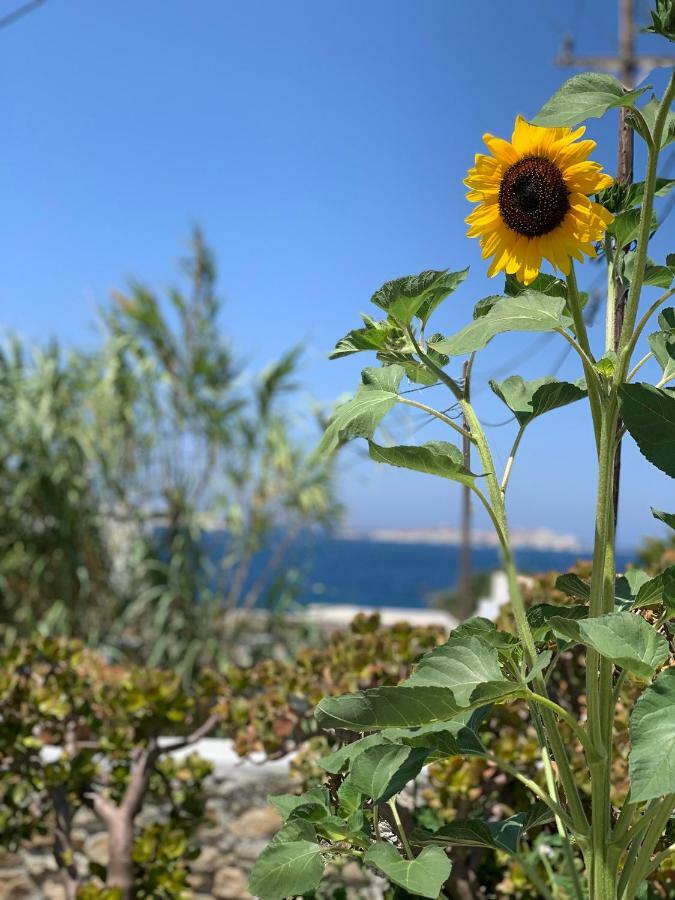 Secret Garden Apartments Mykonos Town Luaran gambar